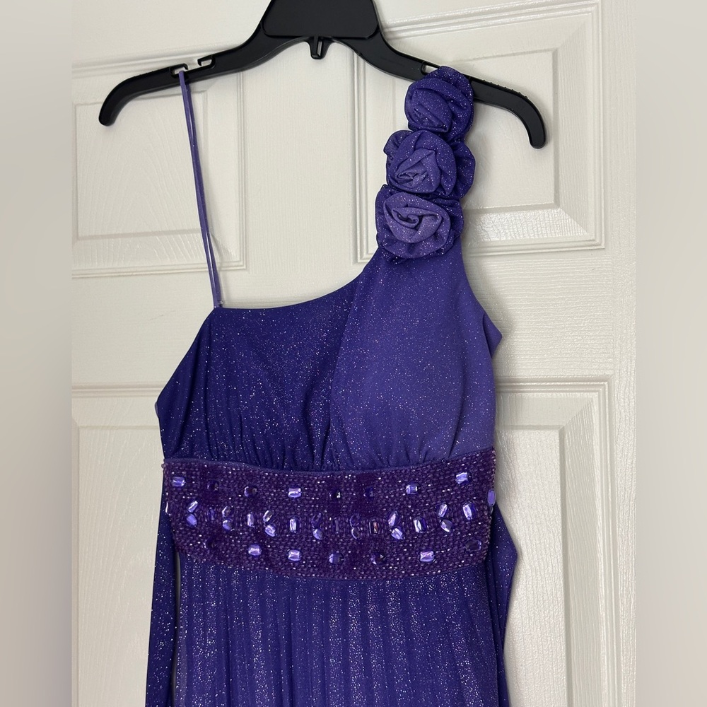 Xtraordinary Purple Sparkle Dress